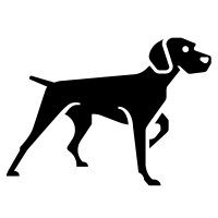 Retro style illustration of a german shorthaired pointer, a medium to large sized breed of hunting and gun dog developed in germany viewed from front on low angle isolated background black and white. German Shorthaired Pointer Icons Download Free Vector Icons Noun Project