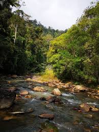 Endau Rompin Selai National Park Johor Malaysia Endau Rompin National Park National Parks Park
