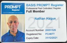 Welcome to pegasus pest control. Pegasus Pest Solutions Ltd Portsmouth Fareham Hampshire