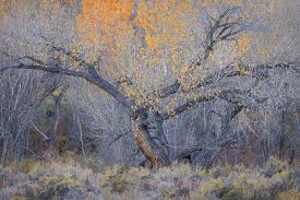 Michael Rung Photography added...