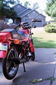 Vincent Reale Vincentreale - Profile Pinterest