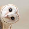 Maybe you would like to learn more about one of these? 3