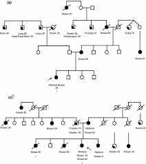Breast cancer awareness ribbons breast cancer awareness with pink ribbons and modern look breast cancer awareness symbol stock illustrations. The Incidence Of Palb2 C 3113g A In Women With A Strong Family History Of Breast And Ovarian Cancer Attending Familial Cancer Centres In Australia Springerlink