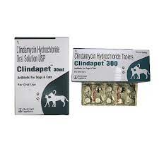 Clindapet 150 300 600 Mg Tablets Solution The Veterinary Medicine