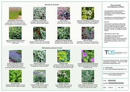 Scarfone sets out the guidelines to allow anyone from an avid amateur gardener to a professional landscape designer or architect to create a living work of art with plants. (the american gardner, may/june 2008) Planting Plan And Plant Schedule Tds