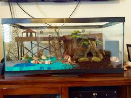 Hermit Crab Habitat Hermit Crab Tank Hermit Crab Habitat Hermit Crab Cage