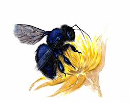 L Ape Legnaiola Etsy Disegno Fiori Stampe Disegni