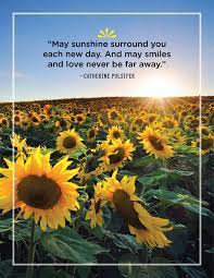 Please enjoy these quotes about sunshine and love. 46 Greatest Sunshine Quotes Everyday Inspiration About Sunshine