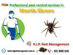 Effective solutions to shut down spiders, cockroaches, ants and more. Professional Pest Control North Shore Pest Control Services Spider Control Pest Control