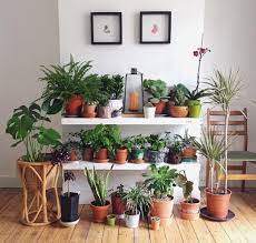 Inspiring 10 Awesome Indoor Plant Decoration Ideas To Make Natural Comfort In Your Home Https Decoretoo Com 10 Awesome Plant Decor Plants Modern Plant Stand