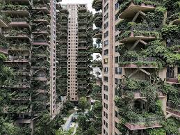 Welcome To The Jungle Plants Overrun Chinese Apartment Blocks Lifestyle The Jakarta Post It's no secret that apartments have limited space.