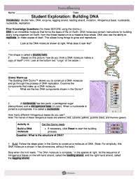 I use this gizmo as an introduction to the topic. What Is The Structure Of Dna Gizmo