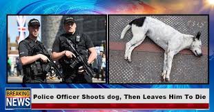 Pin By T Shirt On Joker Quotes Police Officer Shot Police Officer Police