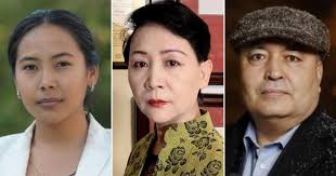 Canadians who say they were targeted by Beijing slam David Johnston