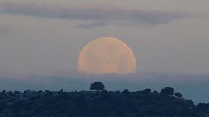 Gerhana bulan total perige (super blood moon) diprediksi akan terjadi pada rabu, 26 mei 2021 besok. Supermoon Terbesar Tahun Ini Akan Muncul Pada 7 April Tekno Tempo Co