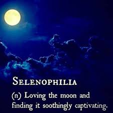 Are You A Selenophiliac Yes If You Love The Moon And Find It Soothingly Captivating Words Wonderful Words Cool Words