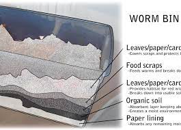 Drain Free Home Worm Bin Composting Worm Bin Compost Worm Composting