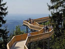 Weltweit die besten angebote haus am kopf im haus am kopf geht die illusion der optischen phänomene weiter und diesmal werden sie sogar ein teil von ihr. Waldwipfelweg In Maibrunn Bayerischer Wald