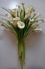 The blossom only lasts a day or two. Calla Lily Centerpiece Large 20 Inch Pilsner Flowers Of The Field Las Vegas