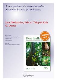 Image result for Barleria macrostegia