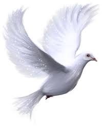Prayers To Jesus Bird Clip Art Holy Spirit Dove