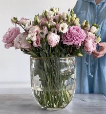 Check spelling or type a new query. Blumihome Blumigo