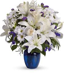 Contributions to the tribute of Thomas Joseph "Tom" Willman