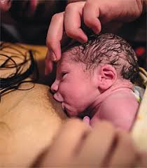 First moments with your baby | Institut national de santé publique du Québec