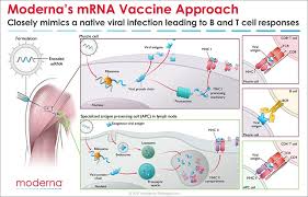 Hamstrung by pandemic fatigue, economic constraints and political discord. Moderna Blog Moderna Inc