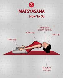 How To Do Fish Pose Pranayama Yoga Learn Yoga Poses Learn Yoga