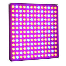Just plug it in and grow. Best Led Grow Lights 2021 10 Incredible Grow Lights