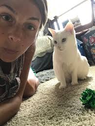 Lost blue tuxedo cat Luna in south Lynnwood area