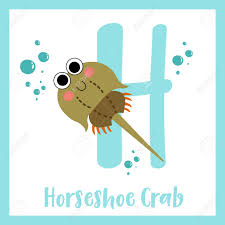 Won't you sing along with me! Cute Children Abc Animal Zoo Alphabet H Letter Flashcard Of Horseshoe Royalty Free Cliparts Vectors And Stock Illustration Image 125230106