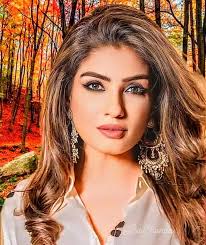 Former Pakistani Prime Minister Nawaz Sharif had previously expressed his  fondness for Raveena Tandon. He himself expressed the same, and the Indian  Air Force took full advantage of this. During the Kargil