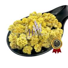 Image result for Helichrysum lastii