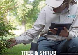 See if trugreen is doing well or underperforming. Trugreen Lawn Care Oklahoma City Ok 73149 Yp Com