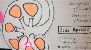 Pin By Robert Copeland On Pharm Nerdy Nurse Nursing Videos Nursing Motivation
