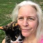 16 Top Cat Experts Share Tips For Dealing With Timid Cats