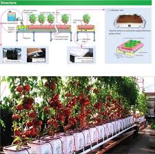 Maybe you would like to learn more about one of these? Dutch Bucket Hydroponic System For Cultivating Tomatoes Download Scientific Diagram