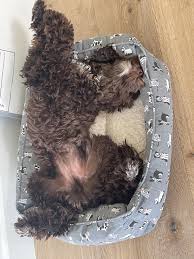 Anna Wildman (@annarob) • Threads, Say more