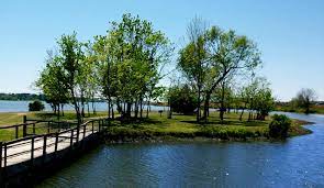 Check it out for a weekend or longer! Park On The Lake Lake Conroe At Willis Texas Where The Fifth Wheel Is Parked Home Away From Home Texas Adventure Places To See Texas Travel