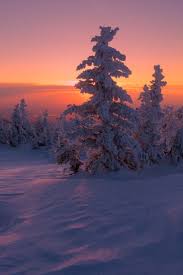 We offer an extraordinary number of hd images that will instantly freshen up your smartphone or computer. Winter Sunset Nature Winter Sunset Winter Landscape Winter Scenery