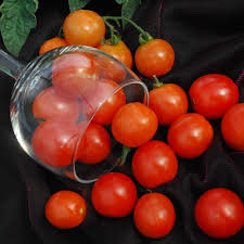 Plant three seedlings in a 25cm (10) pot and the branches will spread out and droop over the sides for really early tomatoes. Tomato Tumbling Tom Red Seeds Tomato Plant World Seeds
