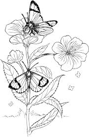 Daniel and the lions den coloring pages 28 coloring. Butterfly Coloring Pages 6 Purple Kitty
