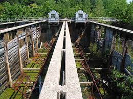 Image result for White 1990 Hackensack Water Company