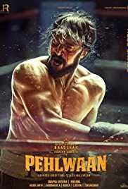 Happy will run away again; Do Knot Disturb 2009 Full Movie Download Filmymeet