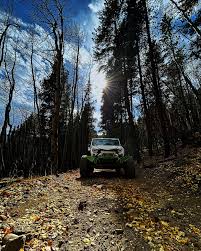 Image result for Black Forest 2007 RX