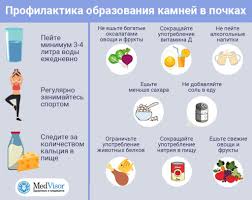 Kakaya Dieta Nuzhna Pri Kamnyah V Pochkah