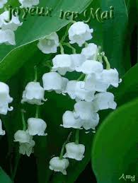 Pin On 1er Mai Muguet Porte Bonheur