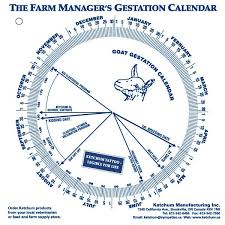 Pin On Goats